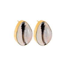  Cowrie Shell Recycled Brass Earrings-0